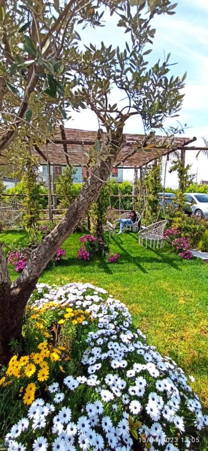 La Villa Degli Dei - Guest House Castellammare di Stabia Εξωτερικό φωτογραφία