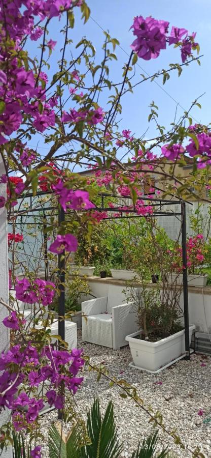 La Villa Degli Dei - Guest House Castellammare di Stabia Εξωτερικό φωτογραφία