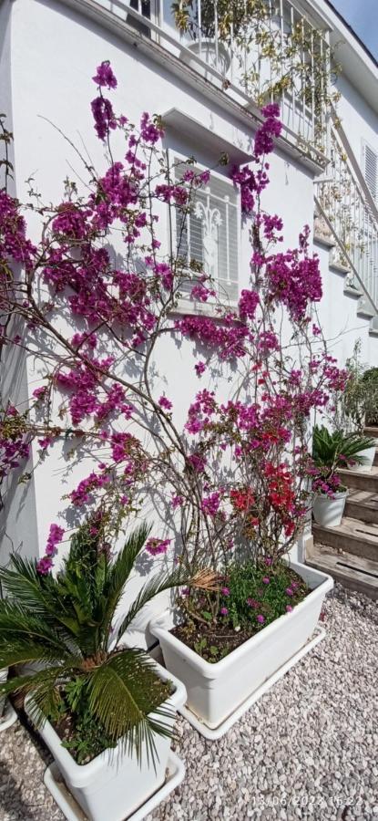 La Villa Degli Dei - Guest House Castellammare di Stabia Εξωτερικό φωτογραφία